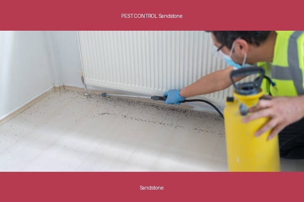 PEST CONTROL Sandstone